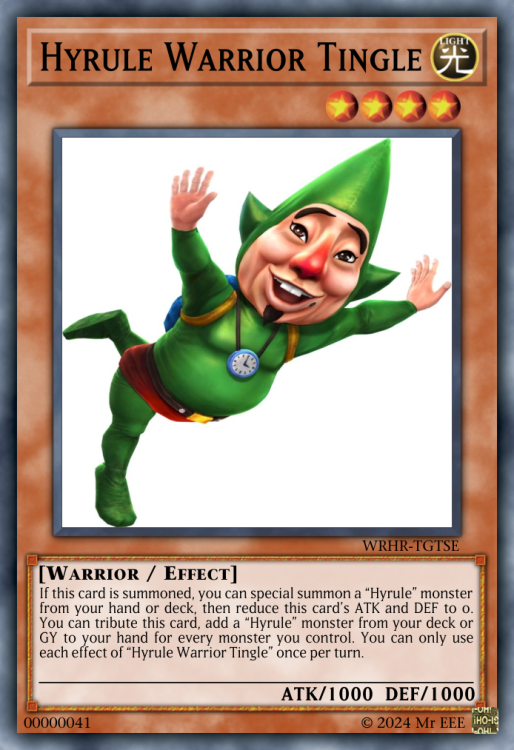 Hyrule Warrior Tingle.jpeg .png