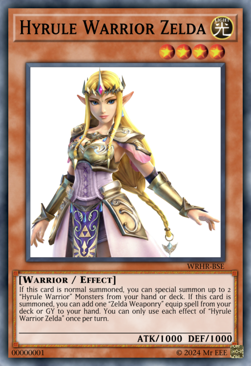Hyrule Warrior Zelda.jpeg.png