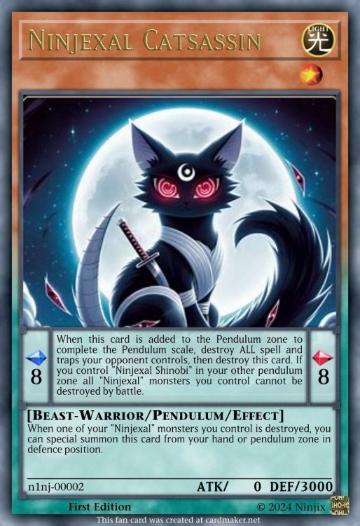 Ninjexal Catsassin.jpeg