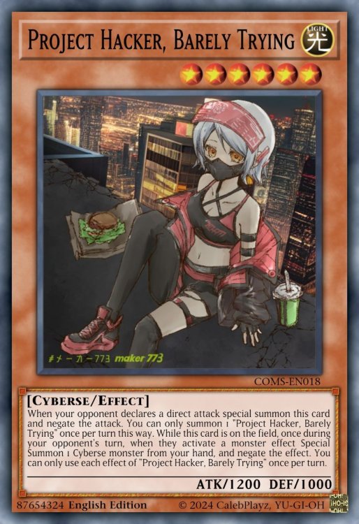 Project Hacker, Barely Trying.jpeg