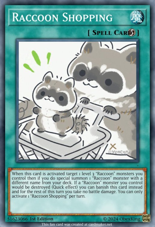 RaccoonShopping.thumb.jpeg.6fb81e6bc94b2f78d62215f37c74c673.jpeg