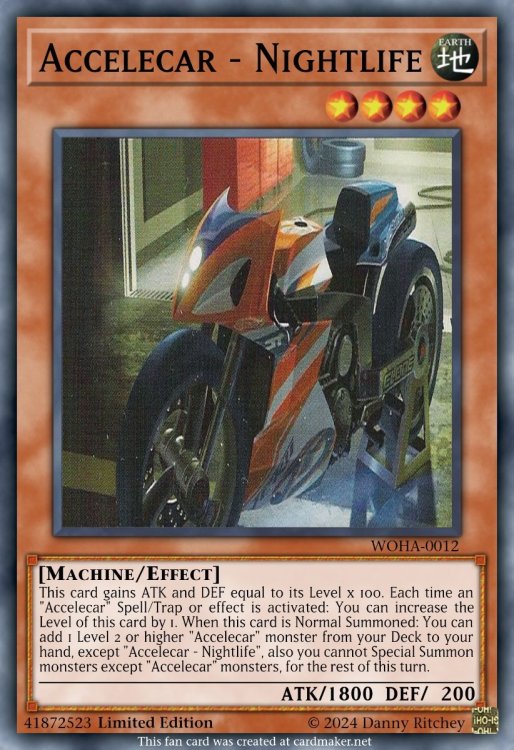 Accelecar - Nightlife_1.jpeg