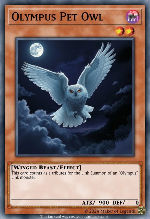 Olympus Pet Owl.jpeg