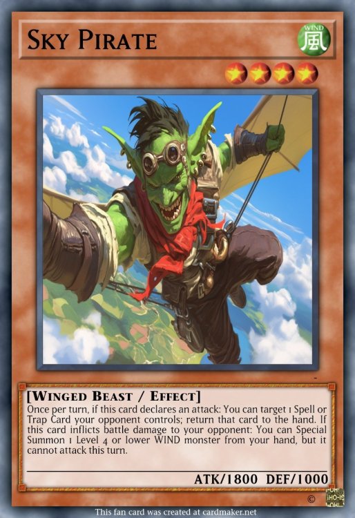 Sky Pirate.jpeg