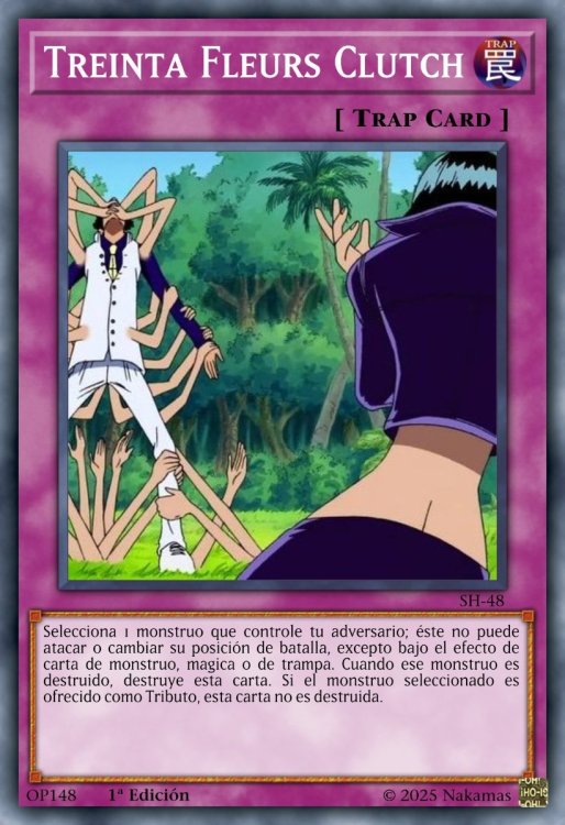 Treinta Fleurs Clutch.jpeg