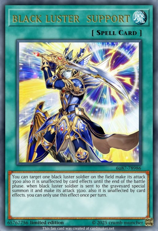 black luster  support.jpeg