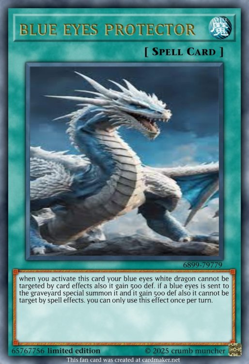 blue eyes protector.jpeg