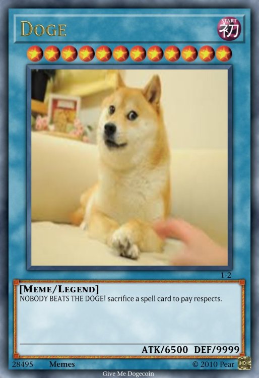 Doge.jpeg