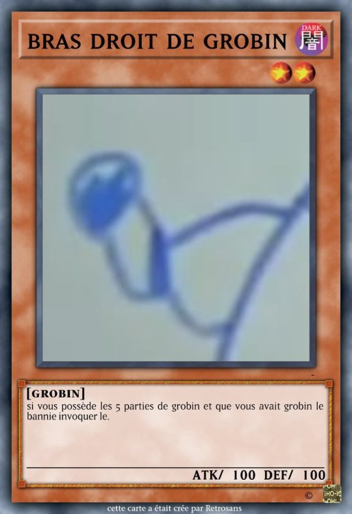 bras droit de grobin.jpeg