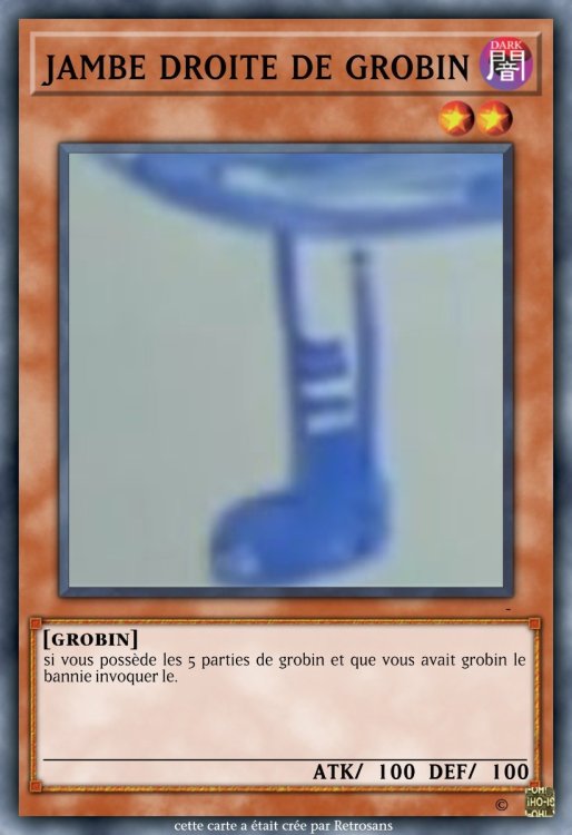 jambe droite de grobin.jpeg