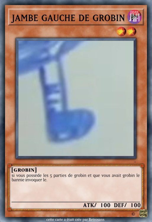 jambe gauche de grobin.jpeg