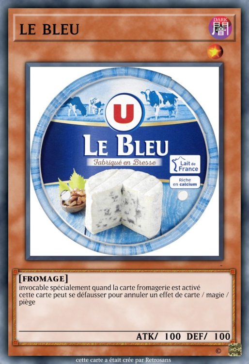 le bleu.jpeg