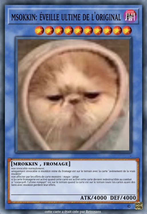 msokkin_ éveille ultime de l'original.jpeg