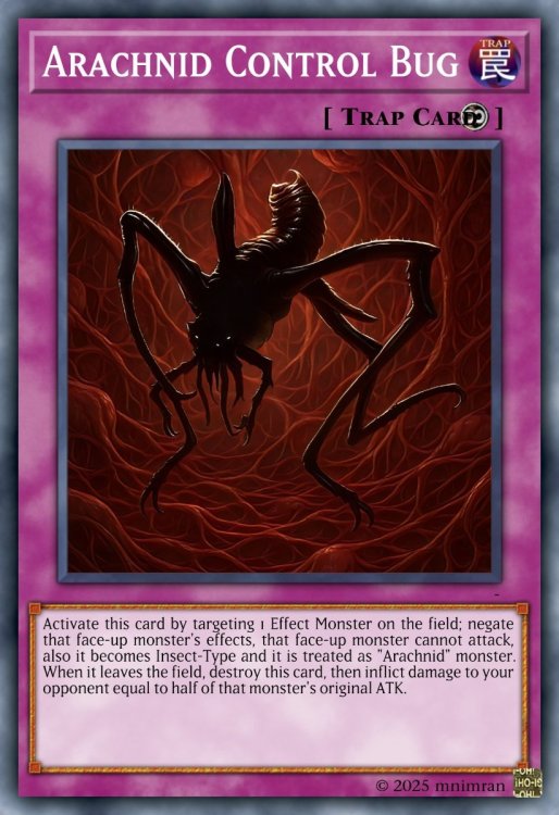 13 Arachnid Control Bug.jpeg