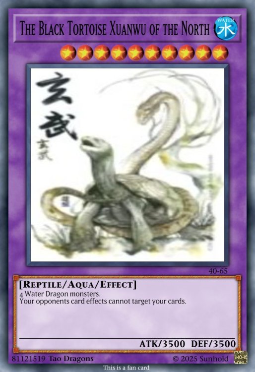 The Black Tortoise Xuanwu of the North.jpeg