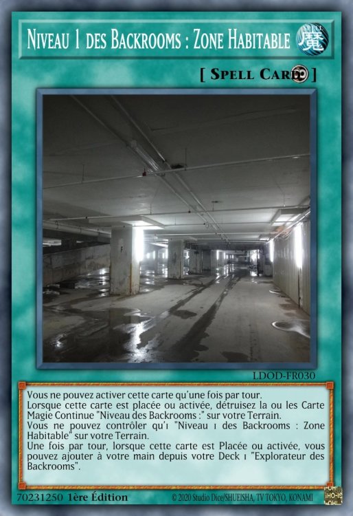 Niveau 1 des Backrooms _ Zone Habitable.jpeg