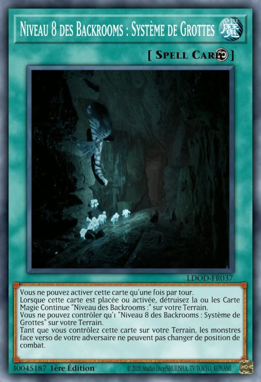 Niveau 8 des Backrooms _ Système de Grottes.jpeg