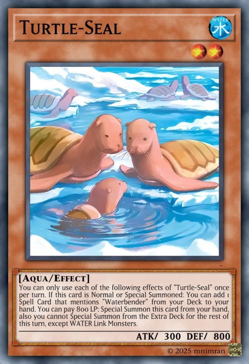 04 Turtle-Seal.jpeg