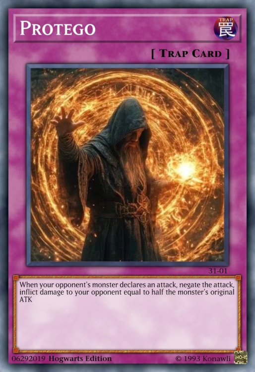 Protego.jpeg