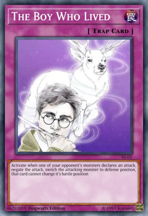 The Boy Who Lived.jpeg