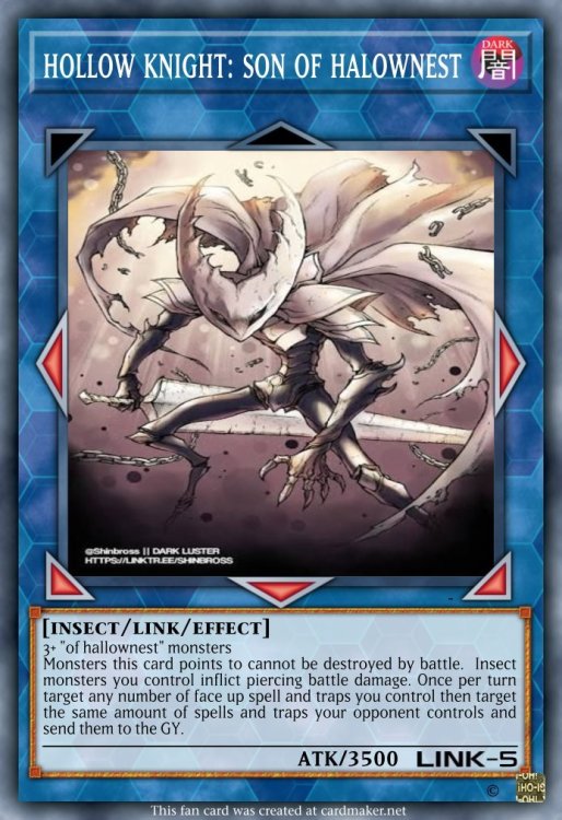 hollow knight_ son of halownest.jpeg