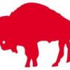RedBuffalo