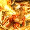 dragonfollow
