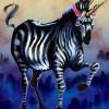 Zebra_Lord