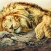 The Sleeping Lion